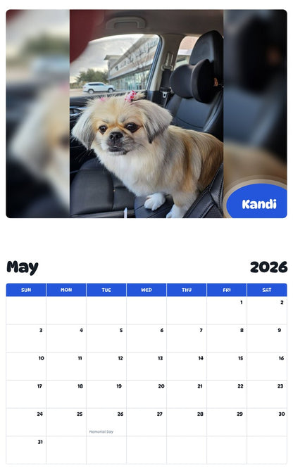 2026 - 2027 Kandi - Pawidols Pet Calendar