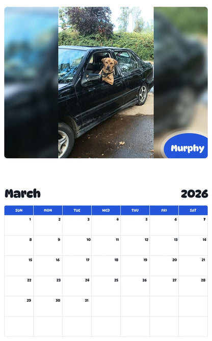 November 2025 - October 2026 Murphy - Pawidols Pet Calendar
