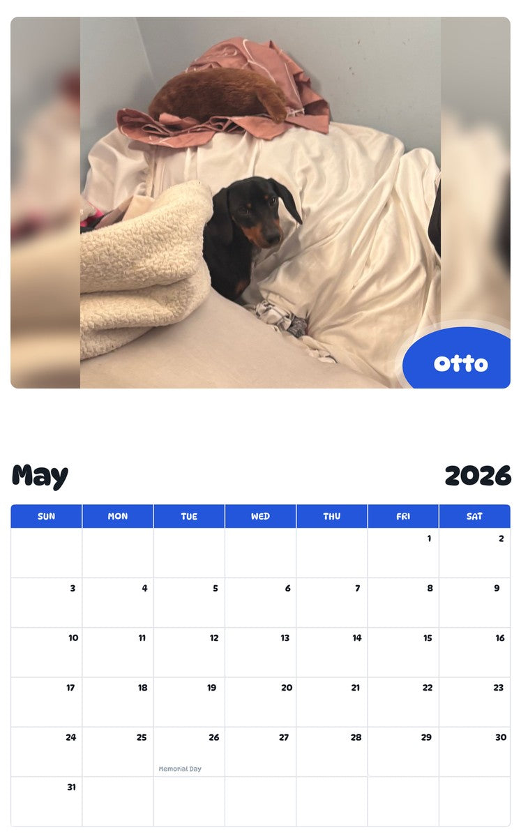 2026 - 2027 Otto - Pawidols Pet Calendar