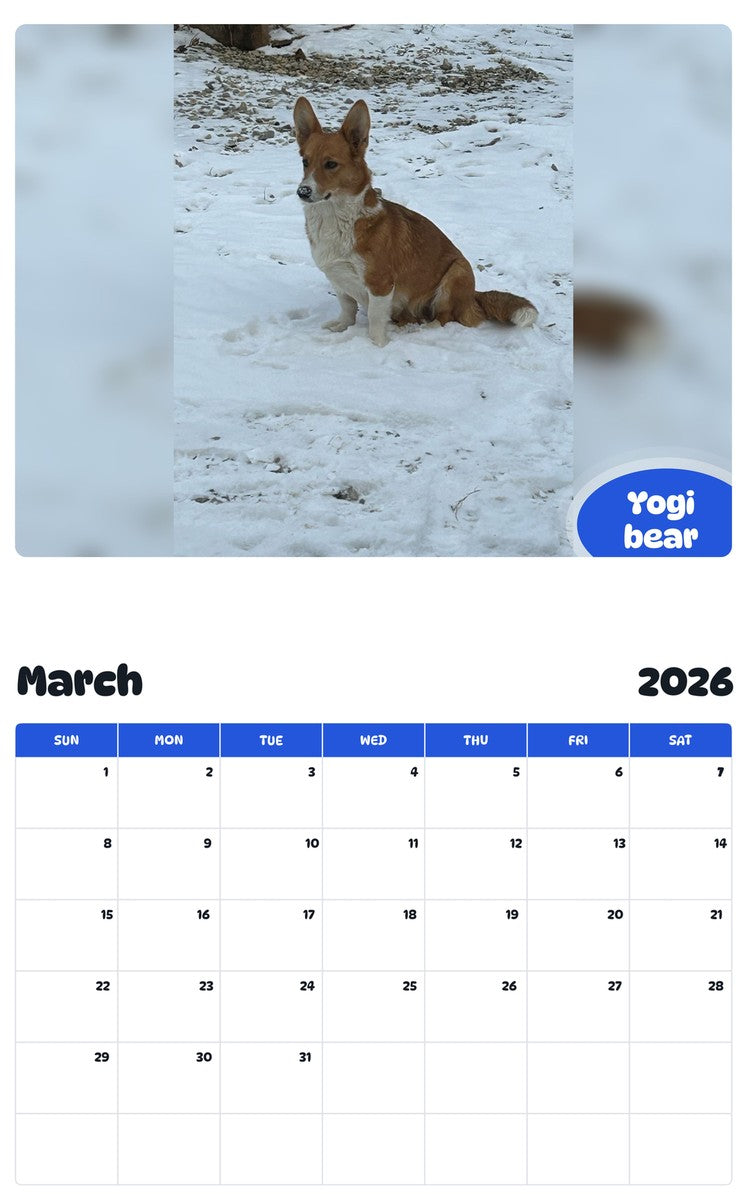 November 2025 - October 2026 Yogi bear - Pawidols Pet Calendar