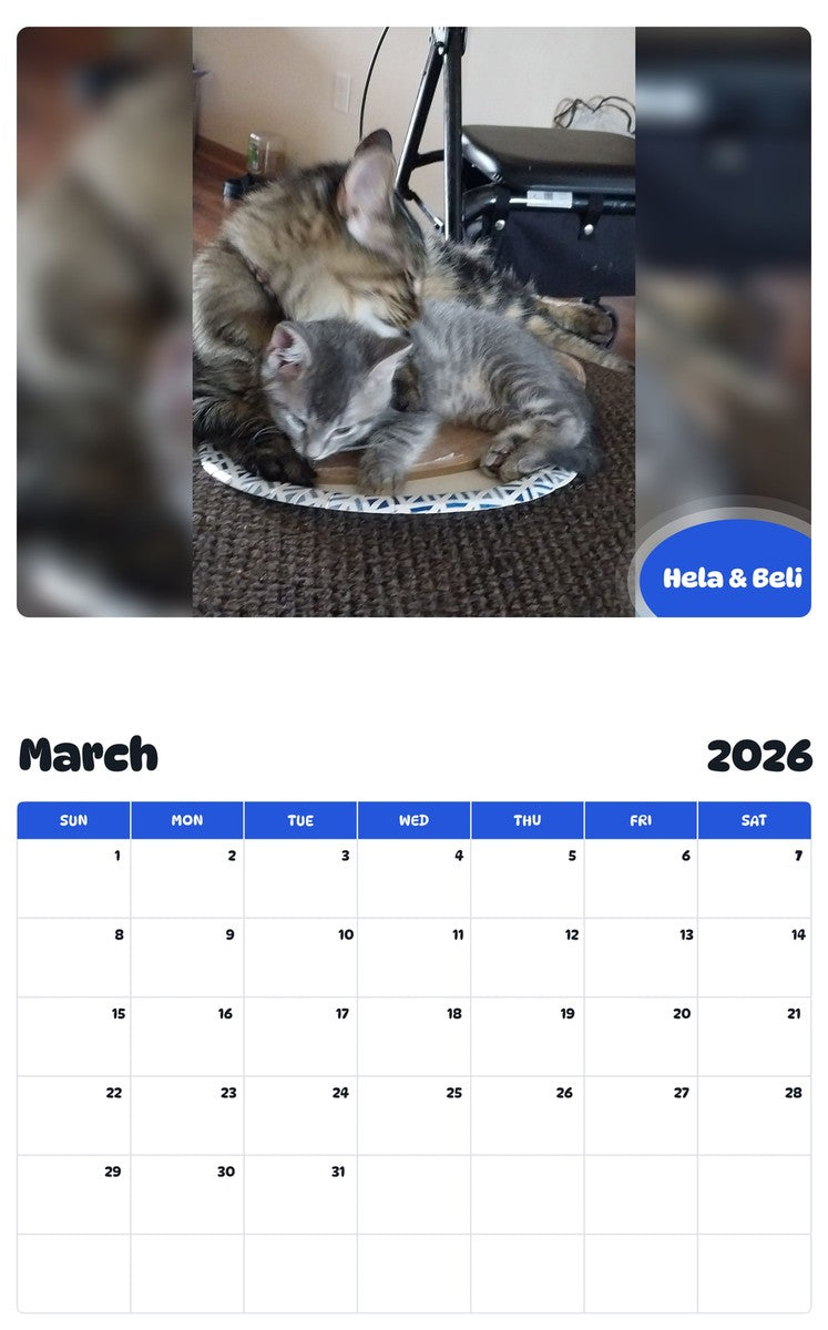 November 2025 - October 2026 Hela & Beli - Pawidols Pet Calendar