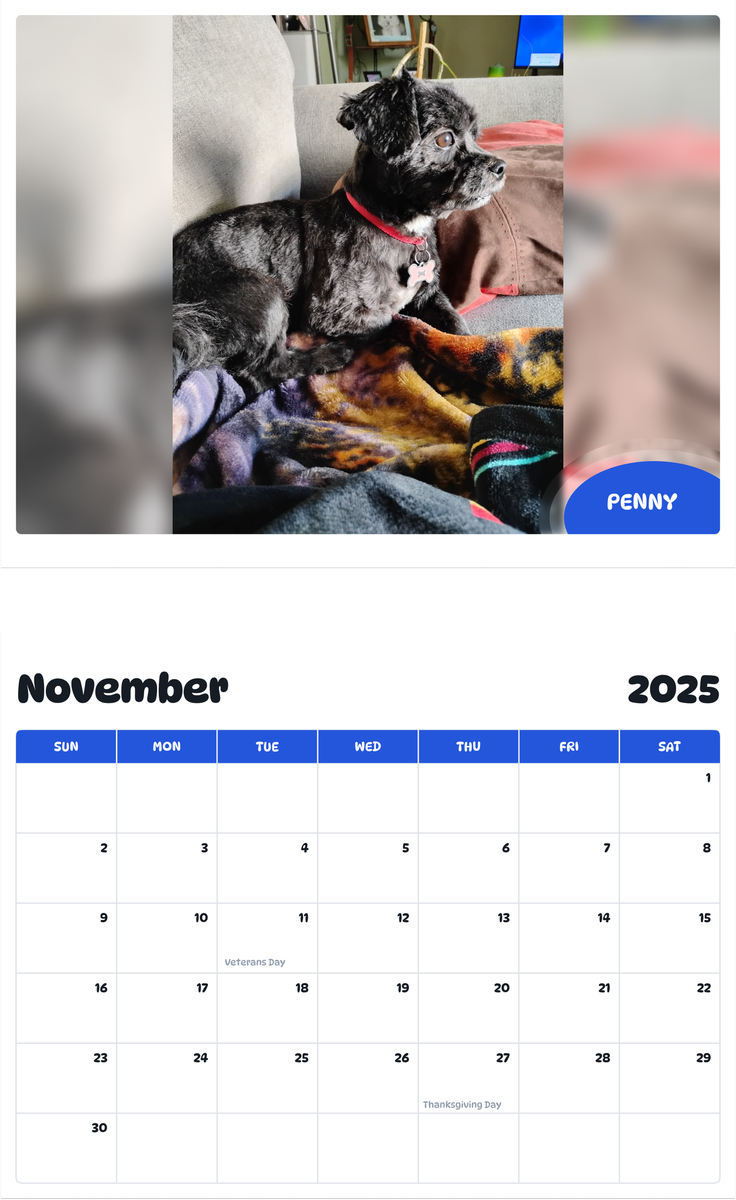 July 2025 - June 2026 Penny - Pawidols Pet Calendar