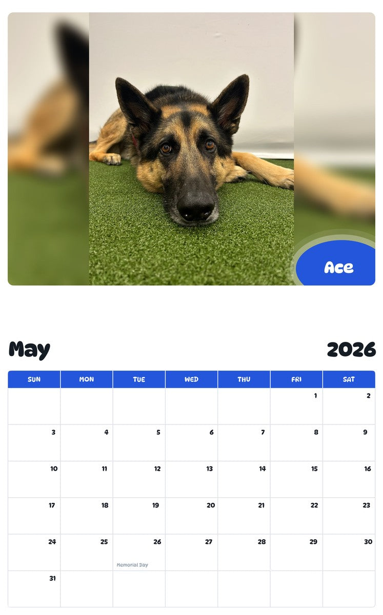 2026 - 2027 Ace - Pawidols Pet Calendar