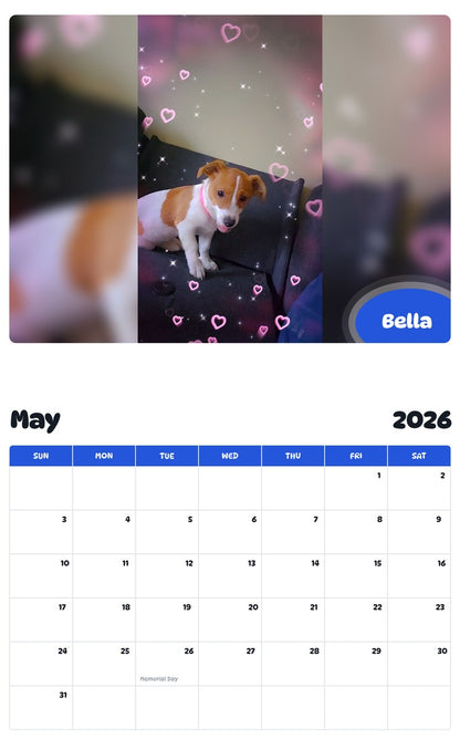 2026 - 2027 Bella - Pawidols Pet Calendar