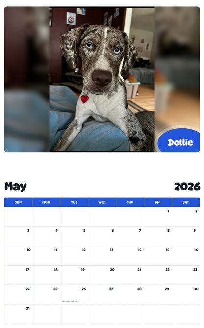 2026 - 2027 Dollie - Pawidols Pet Calendar