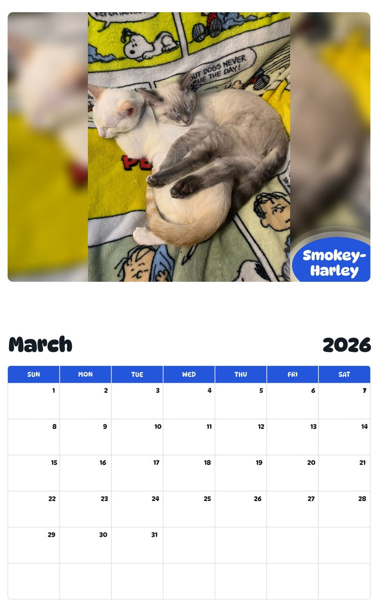 November 2025 - October 2026 Smokey-Harley - Pawidols Pet Calendar