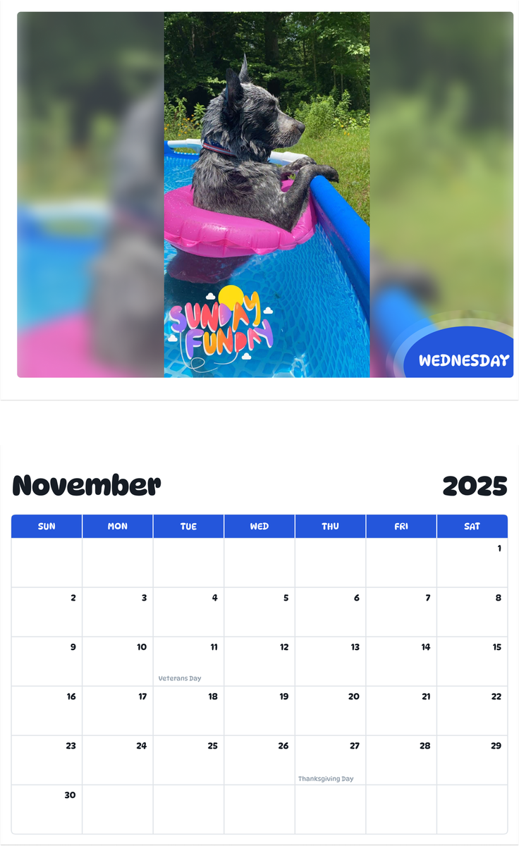 July 2025 - June 2026 Wednesday - Pawidols Pet Calendar