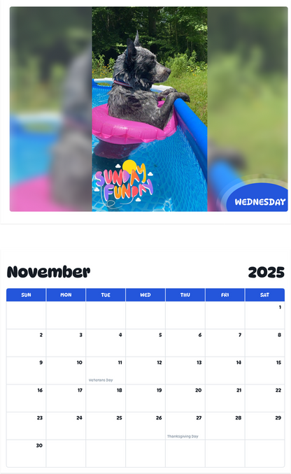 July 2025 - June 2026 Wednesday - Pawidols Pet Calendar