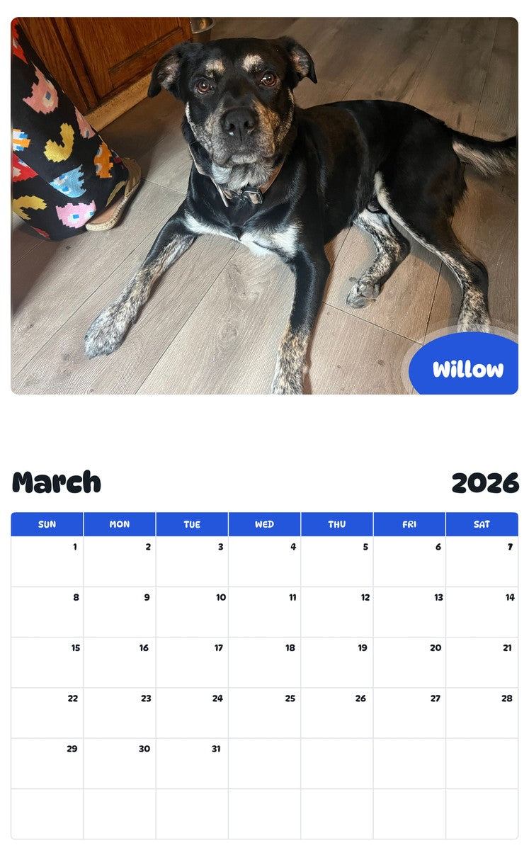November 2025 - October 2026 Willow - Pawidols Pet Calendar
