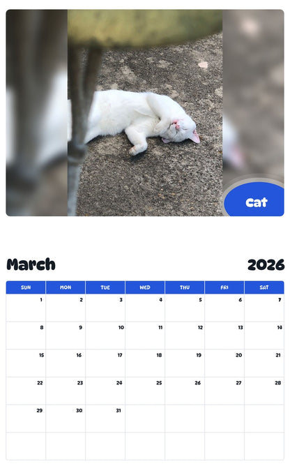November 2025 - October 2026 Cat - Pawidols Pet Calendar