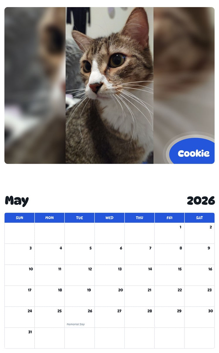 2026 - 2027 Cookie - Pawidols Pet Calendar