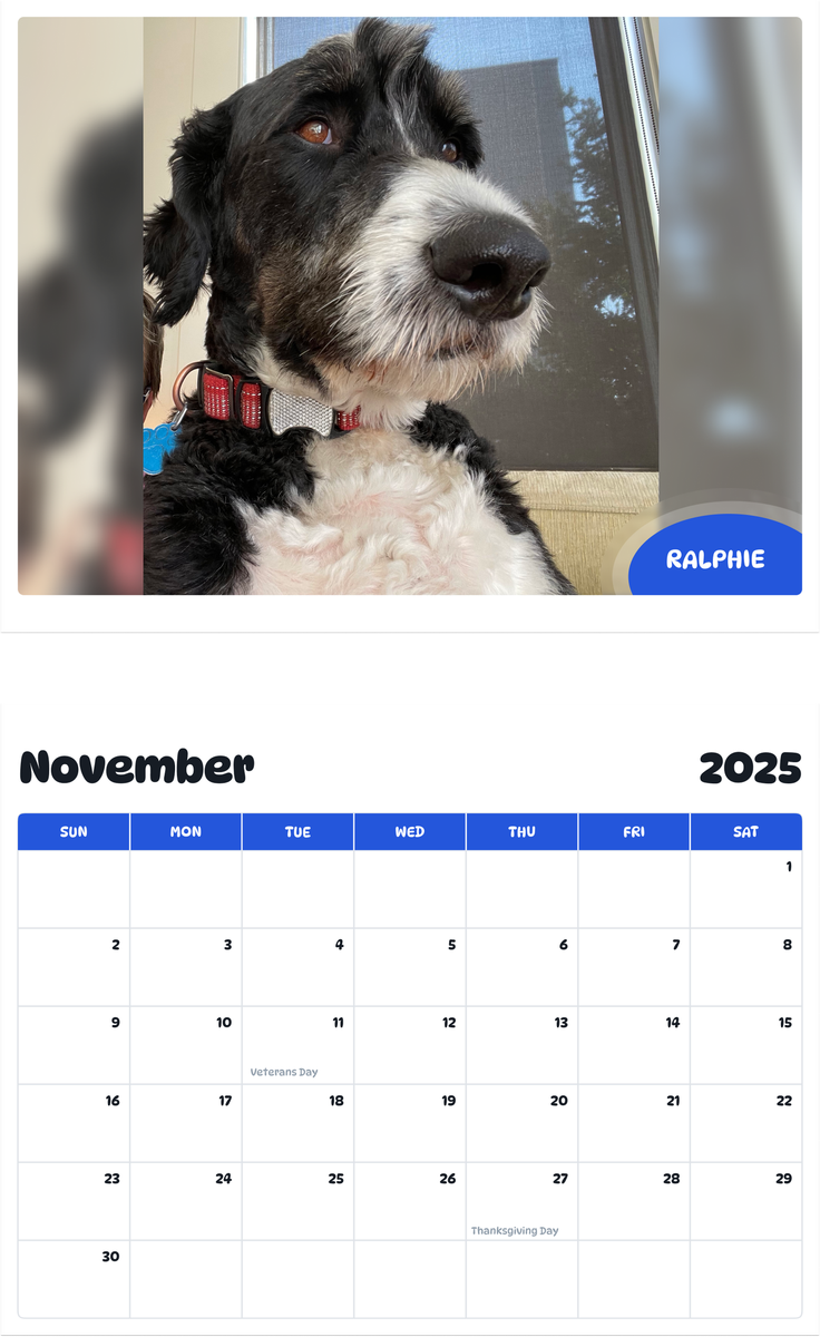 July 2025 - June 2026 Ralphie - Pawidols Pet Calendar