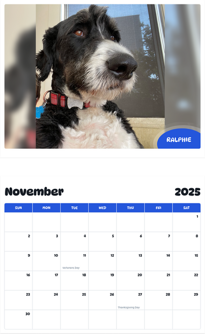 July 2025 - June 2026 Ralphie - Pawidols Pet Calendar
