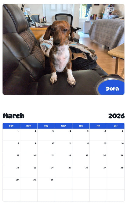November 2025 - October 2026 Dora - Pawidols Pet Calendar
