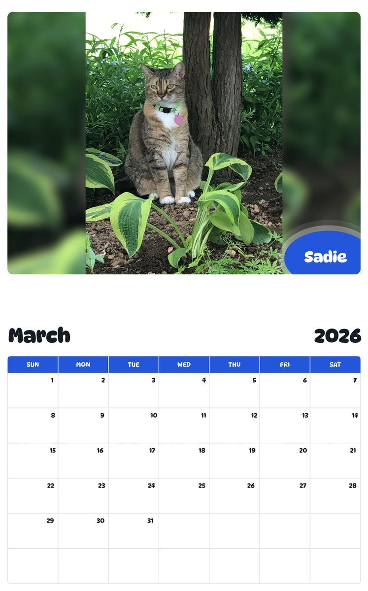 November 2025 - October 2026 Sadie - Pawidols Pet Calendar