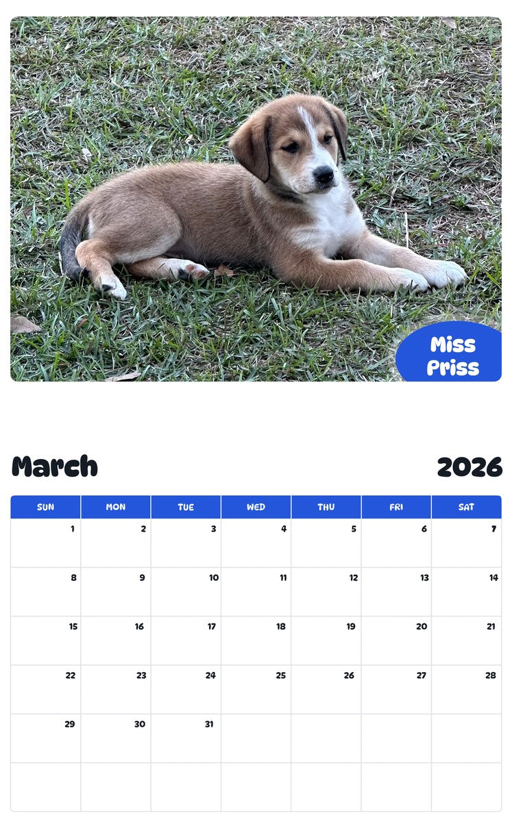 November 2025 - October 2026 Miss Priss - Pawidols Pet Calendar