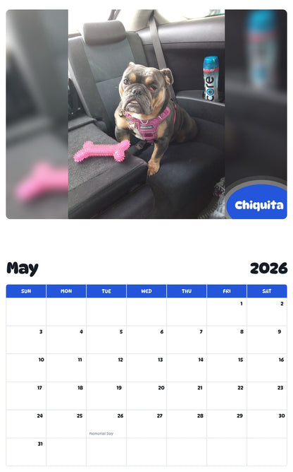 2026 - 2027 Chiquita - Pawidols Pet Calendar