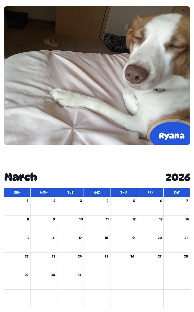 November 2025 - October 2026 Ryana - Pawidols Pet Calendar