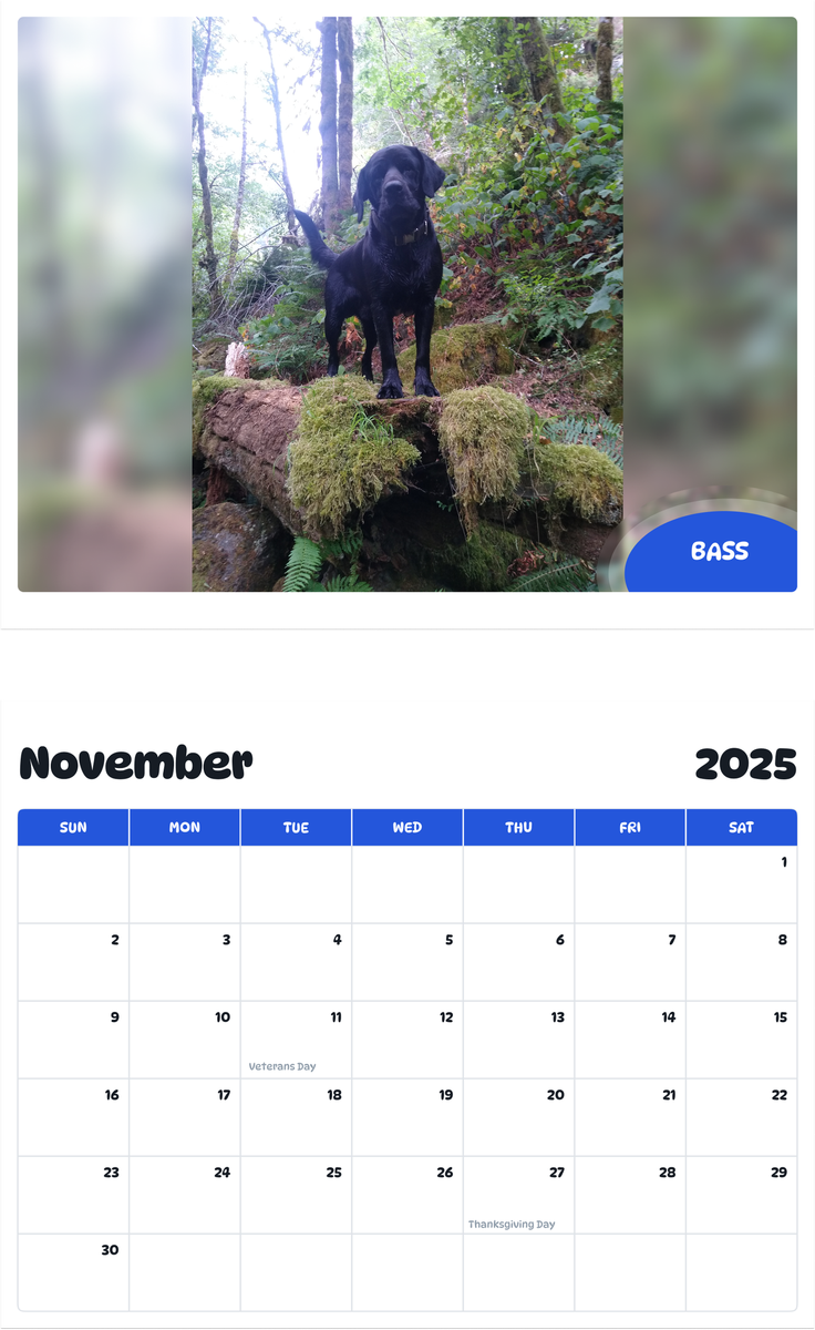 July 2025 - June 2026 Bass - Pawidols Pet Calendar
