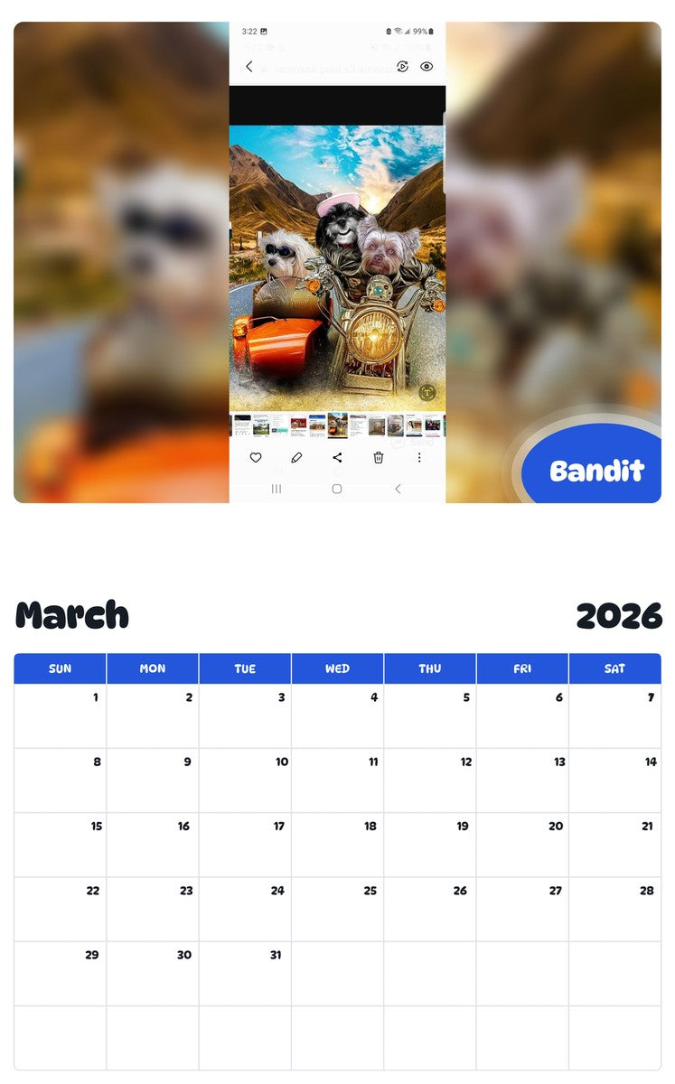November 2025 - October 2026 Bandit - Pawidols Pet Calendar