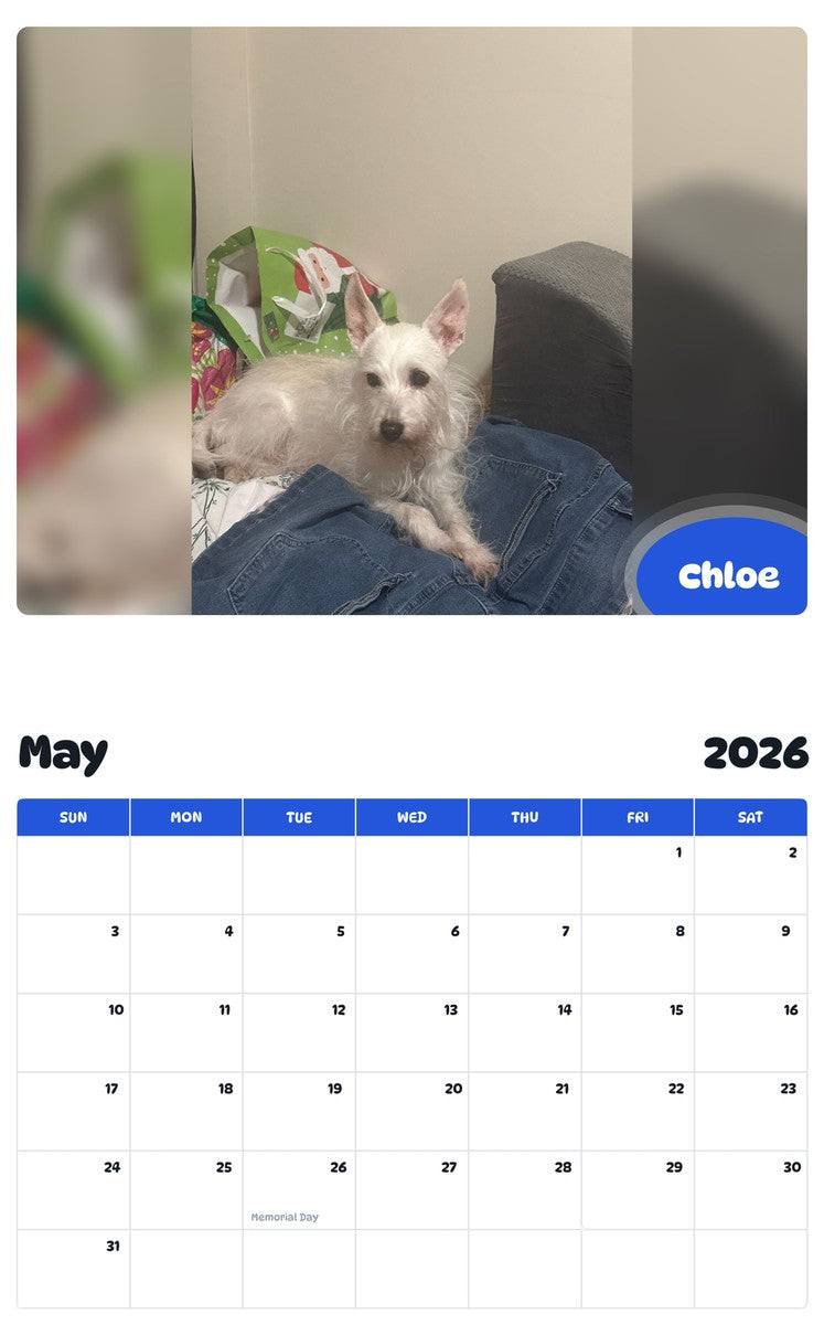 2026 - 2027 Chloe - Pawidols Pet Calendar