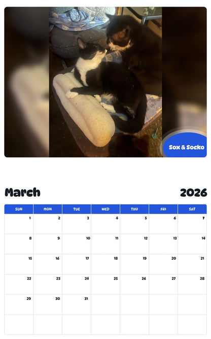 November 2025 - October 2026 Sox & Socko - Pawidols Pet Calendar