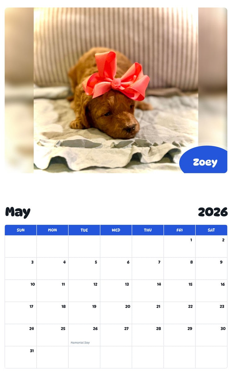 2026 - 2027 Zoey - Pawidols Pet Calendar