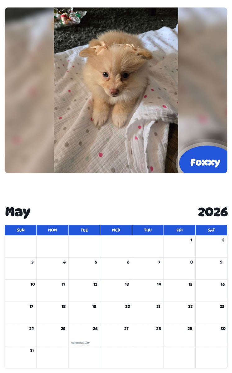 2026 - 2027 Foxxy - Pawidols Pet Calendar