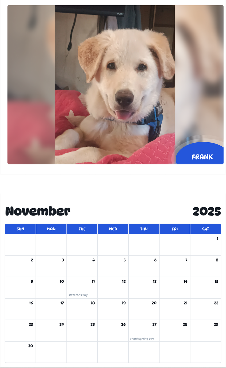 July 2025 - June 2026 Frank - Pawidols Pet Calendar
