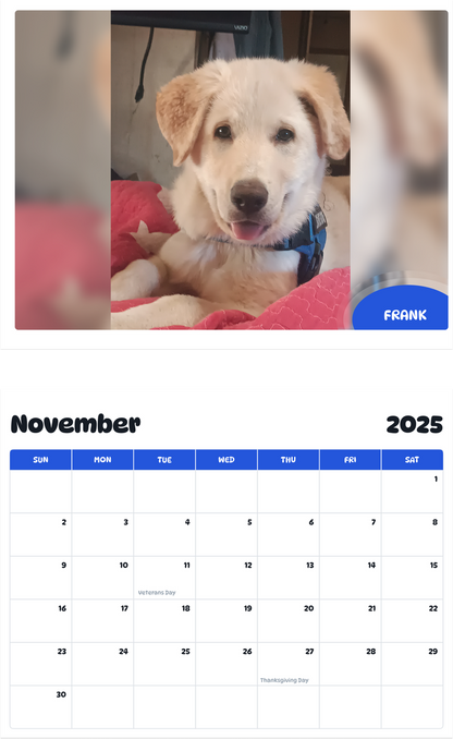 July 2025 - June 2026 FRANK - Pawidols Pet Calendar