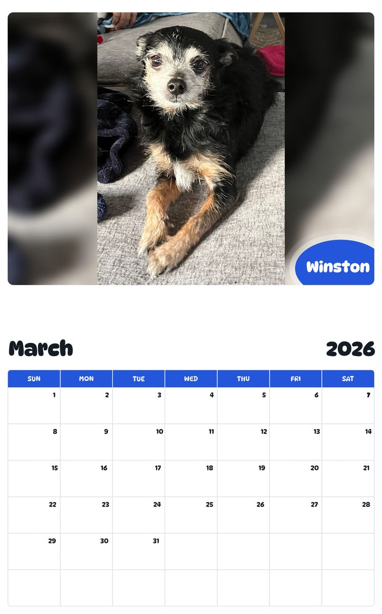 November 2025 - October 2026 Winston - Pawidols Pet Calendar