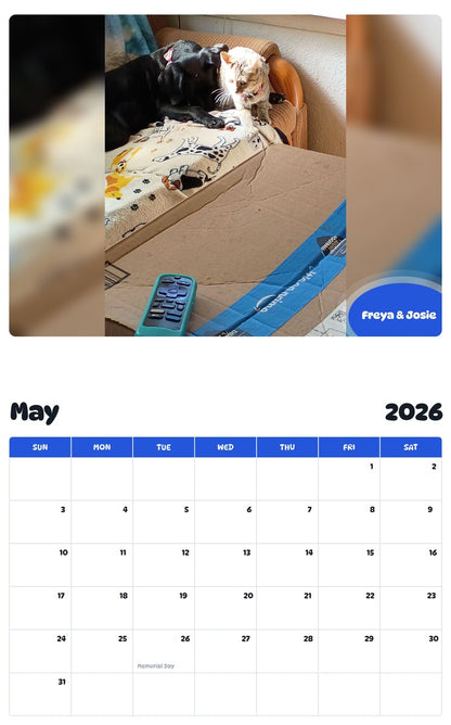 2026 - 2027 Freya & Josie - Pawidols Pet Calendar