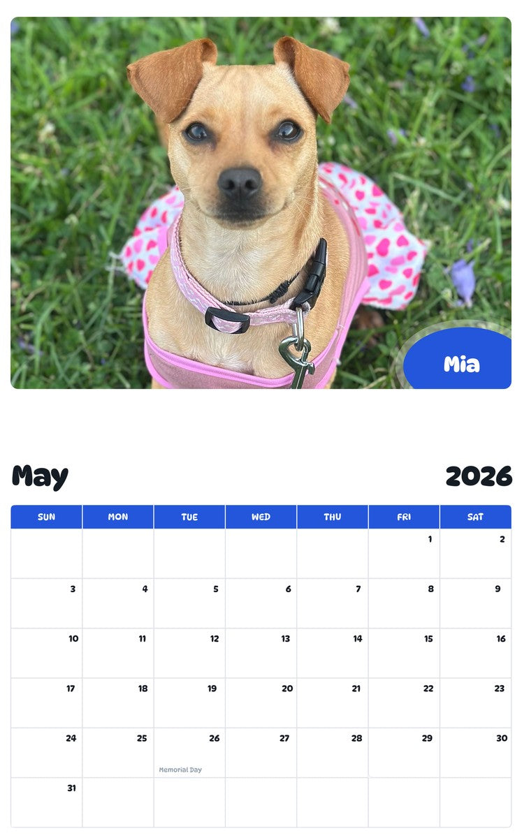 2026 - 2027 Mia - Pawidols Pet Calendar