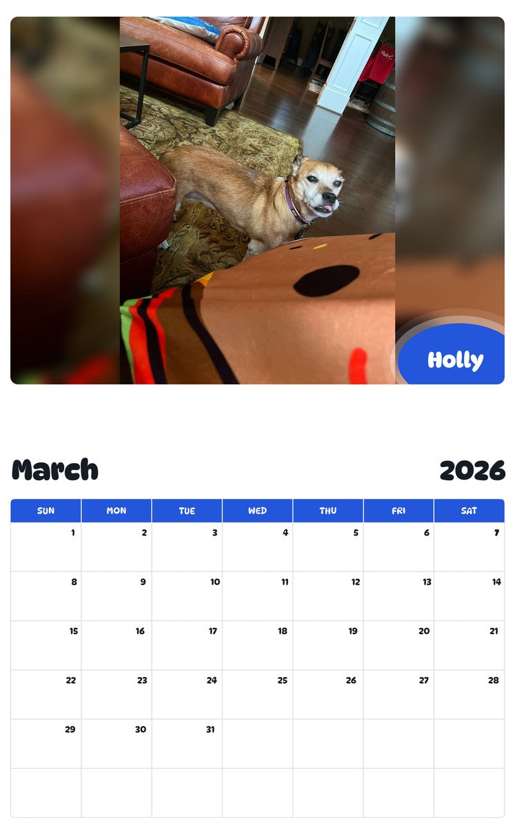 November 2025 - October 2026 Holly - Pawidols Pet Calendar