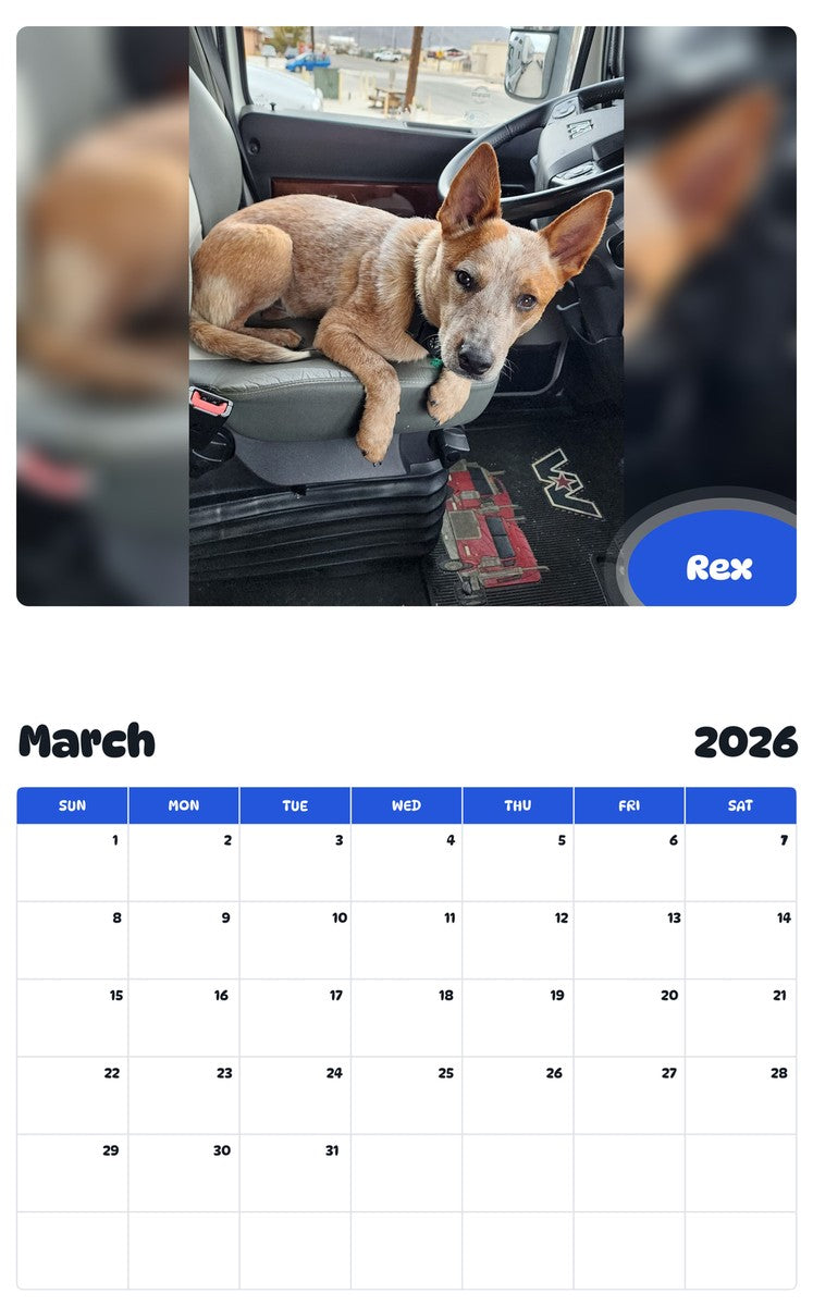 November 2025 - October 2026 Rex - Pawidols Pet Calendar