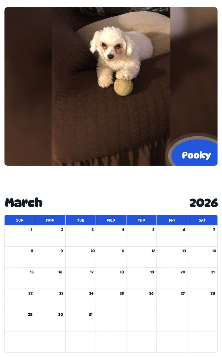 November 2025 - October 2026 Pooky - Pawidols Pet Calendar