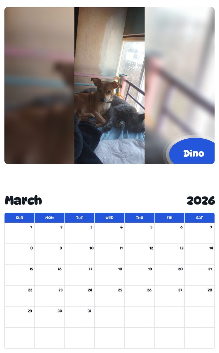 November 2025 - October 2026 Dino - Pawidols Pet Calendar