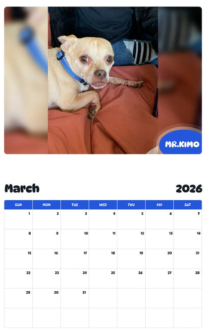 November 2025 - October 2026 MR.KIMO - Pawidols Pet Calendar