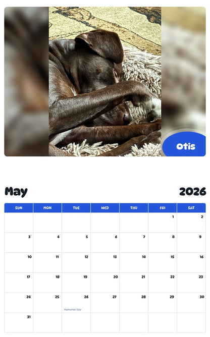 2026 - 2027 Otis - Pawidols Pet Calendar