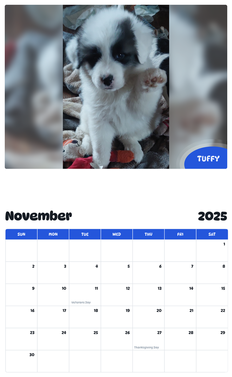 July 2025 - June 2026 Tuffy - Pawidols Pet Calendar