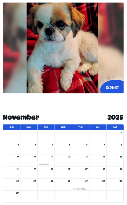 July 2025 - June 2026 Sidney - Pawidols Pet Calendar