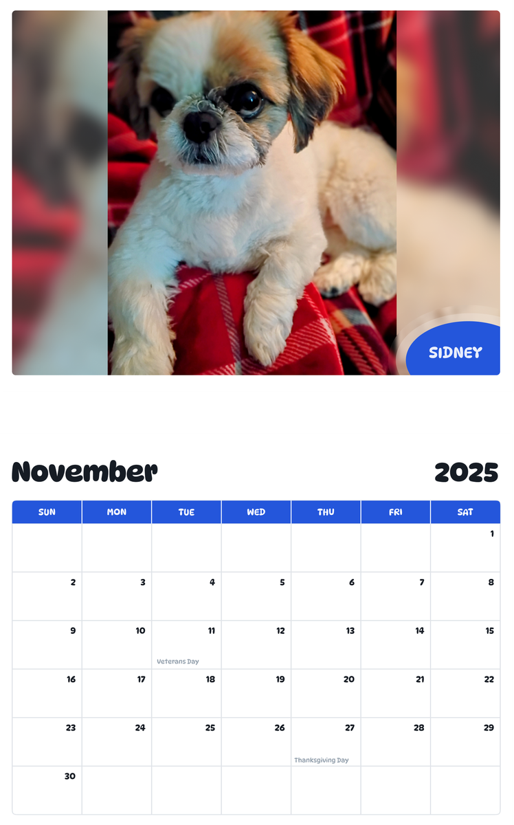 July 2025 - June 2026 Sidney - Pawidols Pet Calendar