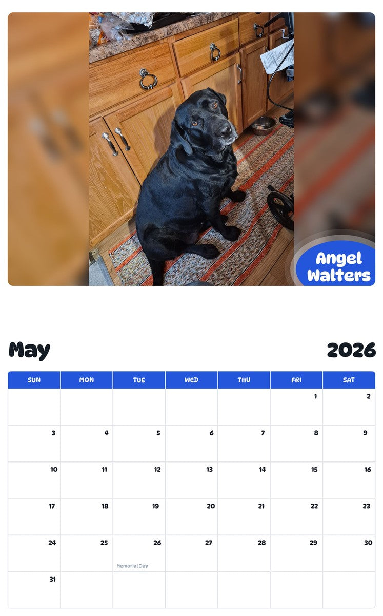2026 - 2027 Angel Walters - Pawidols Pet Calendar