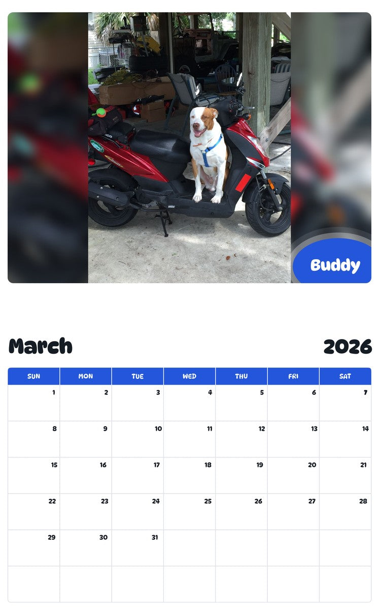 November 2025 - October 2026 Buddy - Pawidols Pet Calendar