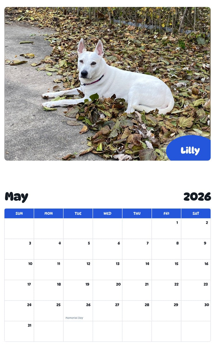 2026 - 2027 Lilly - Pawidols Pet Calendar