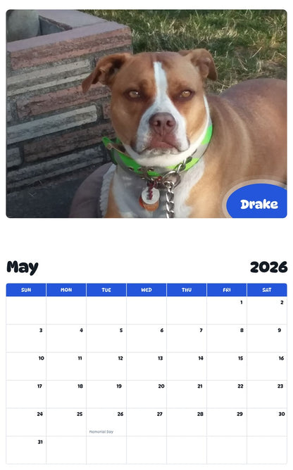 2026 - 2027 Drake - Pawidols Pet Calendar