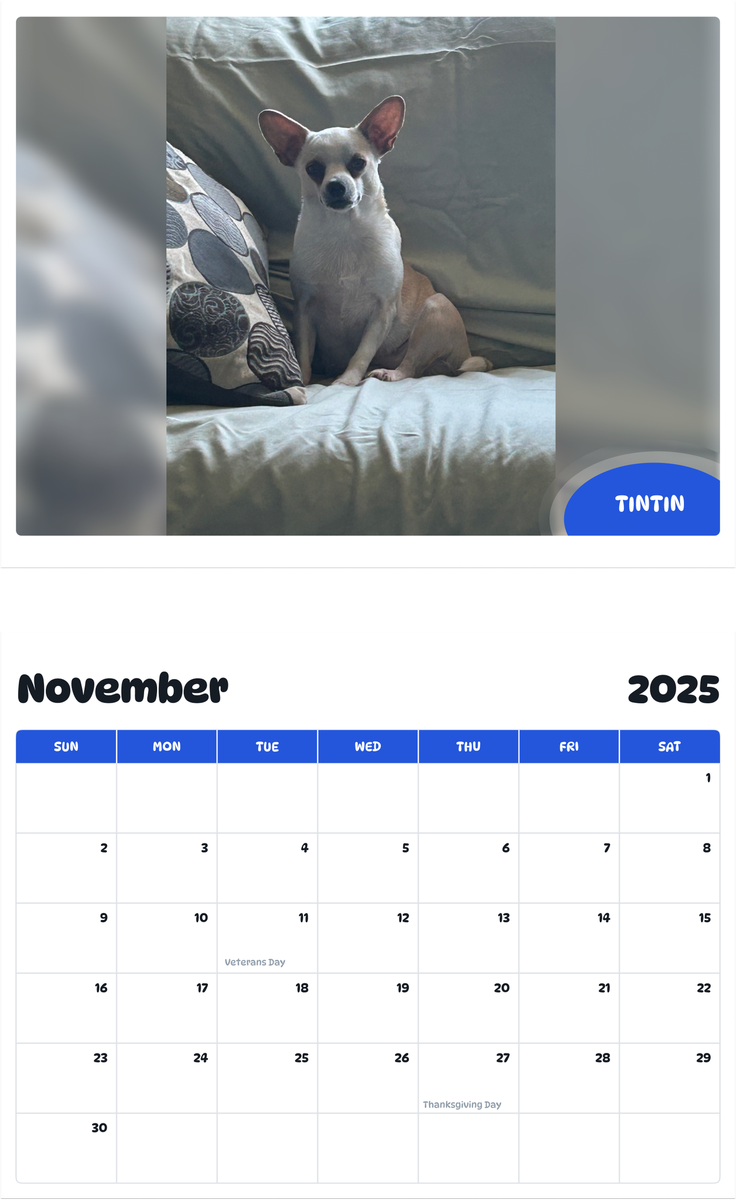 July 2025 - June 2026 TINTIN - Pawidols Pet Calendar