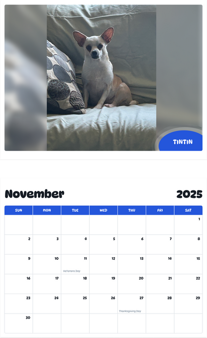 July 2025 - June 2026 TINTIN - Pawidols Pet Calendar