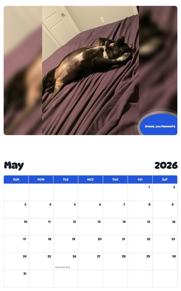 2026 - 2027 Gracie, Lou Mamacita - Pawidols Pet Calendar