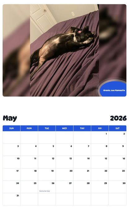 2026 - 2027 Gracie, Lou Mamacita - Pawidols Pet Calendar